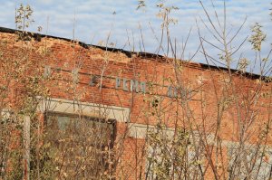 IMG_6197.JPG