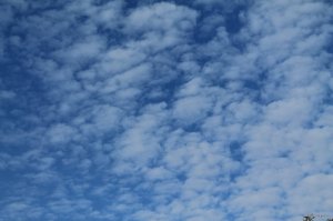 IMG_6189.JPG
