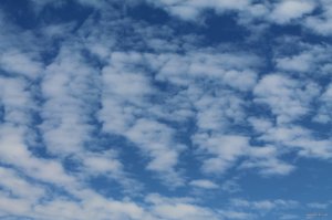 IMG_6192.JPG