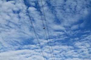 IMG_6188.JPG