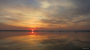 IMG_3477.JPG