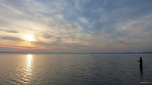 IMG_3484.JPG