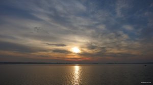 IMG_3487.JPG