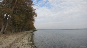 IMG_3516.JPG