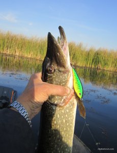 IMG_1822.JPG