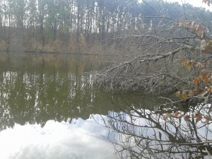 20151018_092152[1].jpg