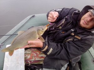 IMG_20151019_110235.jpg