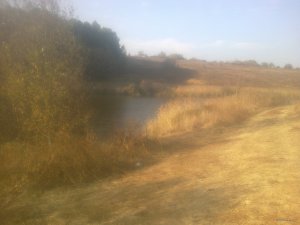 201020151390.jpg