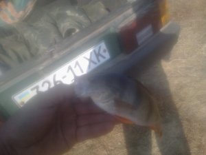 201020151392.jpg