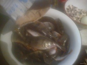 201020151394.jpg