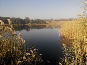 IMG_20151017_093538.jpg