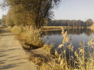 IMG_20151017_093550.jpg