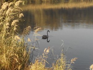 IMG_20151017_093555.jpg