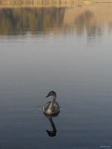 IMG_20151017_093648.jpg
