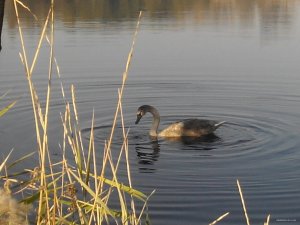 IMG_20151017_093701.jpg
