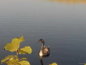 IMG_20151017_093725.jpg