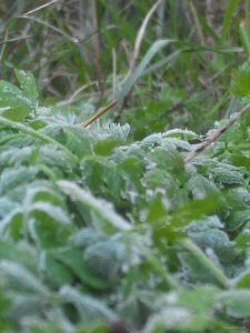 IMG_20151017_103243.jpg