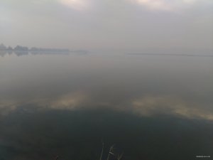 IMG_20151018_075301.jpg