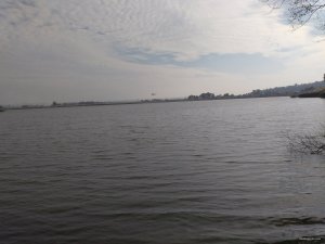 IMG_20151018_124702_1.jpg