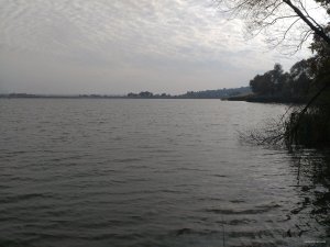 IMG_20151018_131929.jpg