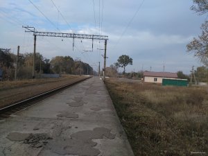 IMG_20151018_154520.jpg