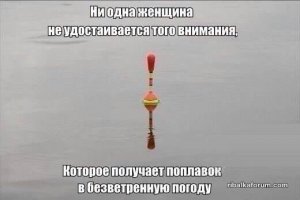 12115420_379950152202515_4738068200345938773_n.jpg