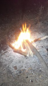 20151019052158.jpg