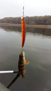 20151024_084134.jpg
