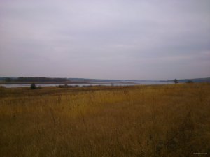 DSC_0220.jpg