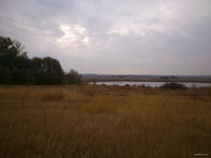 DSC_0221.jpg