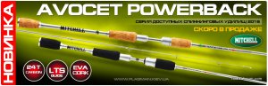 avocet powerback.jpg