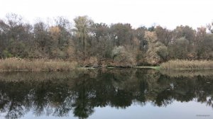 IMG_5303.JPG