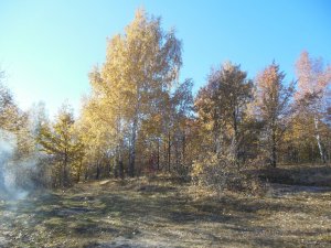 DSCN4366.jpg