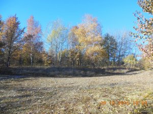 DSCN4368.jpg