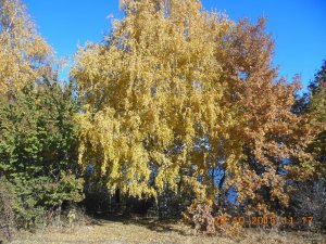 DSCN4398.jpg