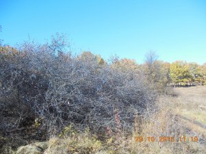 DSCN4406.jpg