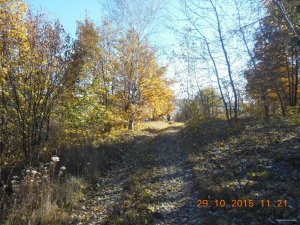 DSCN4411.jpg