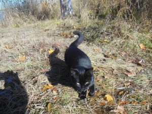 DSCN4419.jpg