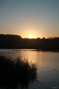 IMG_1509.JPG