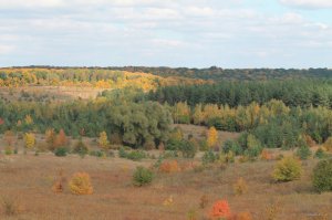IMG_1916.JPG