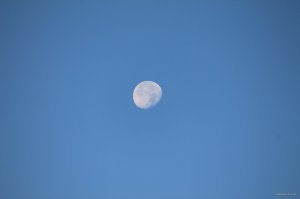 IMG_1925.JPG