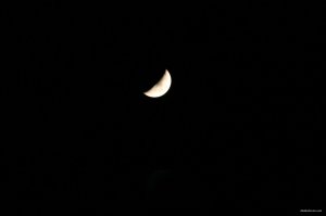 IMG_2924.JPG