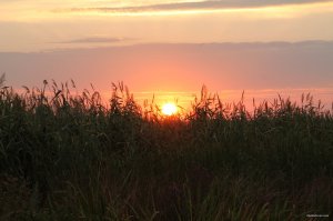 IMG_1693.JPG