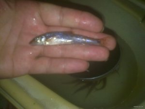 220120091031.jpg