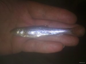290120091035.jpg