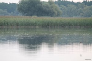 IMG_1695.JPG