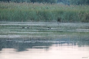 IMG_1696.JPG