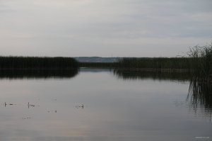IMG_1698.JPG