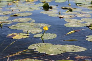 IMG_1807.JPG