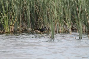IMG_1815.JPG
